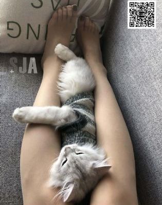 成人性色视频_1080P在线视频观看
